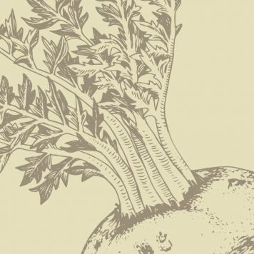 Boost NSP NSP mudel 1121 | Pilt nr 1