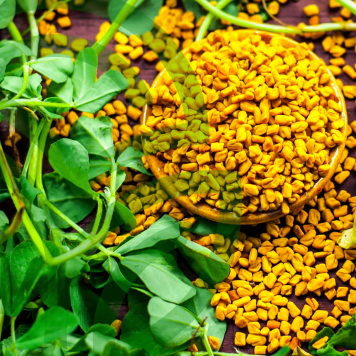 Fenugreek & Thyme NSP Fenugreek & Thyme NSP NSP mudel 885 | Pilt nr 1