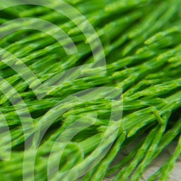 HSN-W NSP NSP mudel 935 | Pilt nr 1