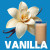 Vanill 