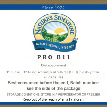 Pro B11 NSP NSP mudel 1510 | Pilt nr 1