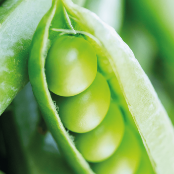 SmartMeal 2-pak NSP mudel 65010 | Pilt nr 1