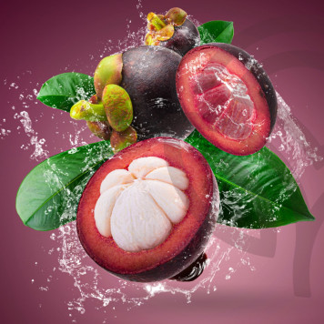 Zambroza NSP NSP mudel 4104 | Pilt nr 2