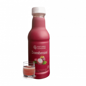 Zambroza NSP NSP mudel 4104 | Pilt nr 1