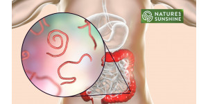 Kuidas võita parasiite ja kandidiaasi ohutult ja loomulikult: NSP programm