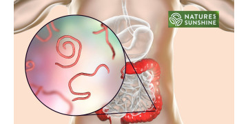 Kuidas võita parasiite ja kandidiaasi ohutult ja loomulikult: NSP programm