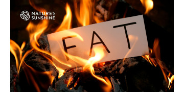 Miks vajab keha rasva? Rasvkoe roll toksikoloogilises kaitses