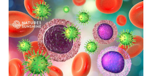 Kuidas tugevdada immuunsust suvel: NSP looduslikud lahendused