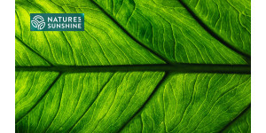 Targad tooted veenilaiendite jaoks: NSP kogemus