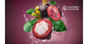 Lilla kilp: kuidas Zambroza suurendab veresoonte tervist ja aeglustab vananemist